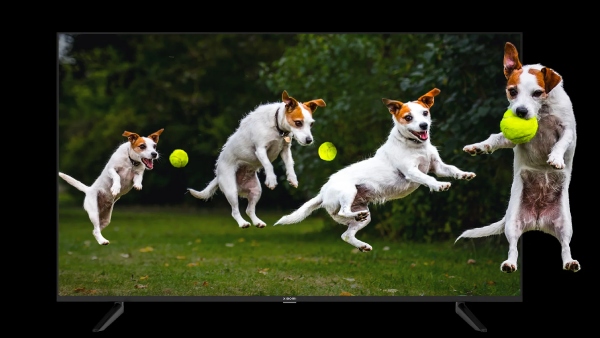 பாதிக்குப்பாதி விலை! சாம்சங், சோனி 55 இன்ச் டிவிகள்! அமேசான் அசத்தல்!