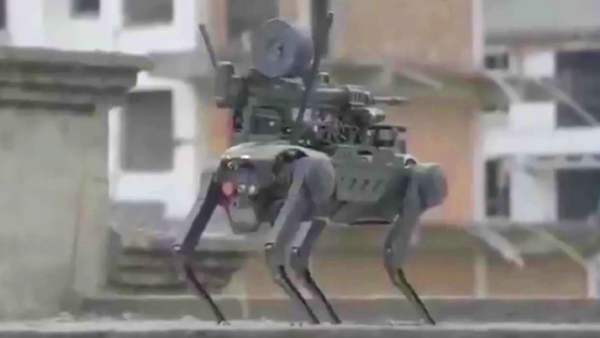 வார் டாக்ஸ்: குறிவைத்து சுடும் ரோபோ நாய்கள்.. போர் யுக்தியுடன் வேட்டை!