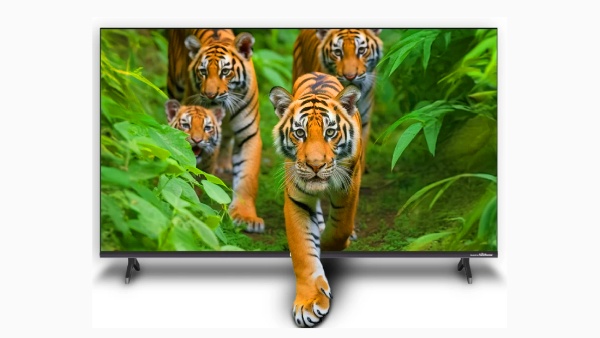 ரூ.20,000 விலைக்குள் 43 இன்ச் Smart TV வாங்கலாமா? மொத்தம் 4 பெஸ்ட் TV