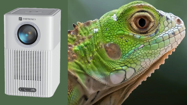 இனி டிவியே வேண்டாம்.. அறிமுகமானது தரமான புரொஜெக்டர்.. எந்த மாடல்?