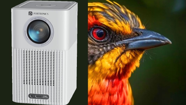 ஆர்டர் அள்ளுமே..ஆஃபரில் 8K ஸ்மார்ட் புரொஜெக்டர்.. எந்த மாடல்?