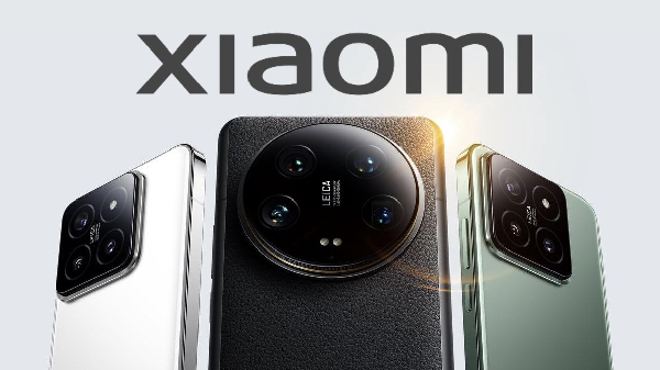 Xiaomi இறக்கும் 2 சிங்கக்குட்டி!