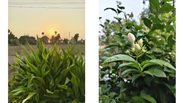 iQOO Z10x 5G ரிவ்யூ: ரூ.13,499 க்கு டபுள் வொர்த்!