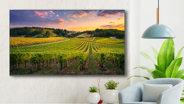 விலை இவ்வளவு கம்மியா? 50 இன்ச் டிவியை வாங்க சரியான நேரம்.. எந்த மாடல்?