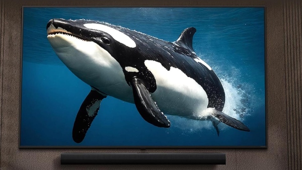 இனி பழைய டிவியை தூக்கி போடுங்க.. LG 55 இன்ச் டிவிக்கு விலை குறைப்பு.. 