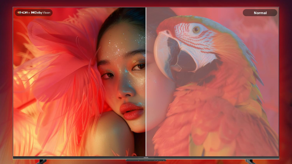 பழைய டிவிக்கு இனி குட்பை.. 50 இன்ச் 4கே டிவிக்கு விலை குறைப்பு.. 