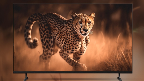 சோனி 4கே டிவிக்கு சூப்பர் ஆஃபர்.. கூகுள் டிவி ஓஎஸ்.. எந்த மாடல்? சோனி 4கே டிவிக்கு சூப்பர் ஆஃபர்.. கூகுள் டிவி ஓஎஸ்.. எந்த மாடல்?