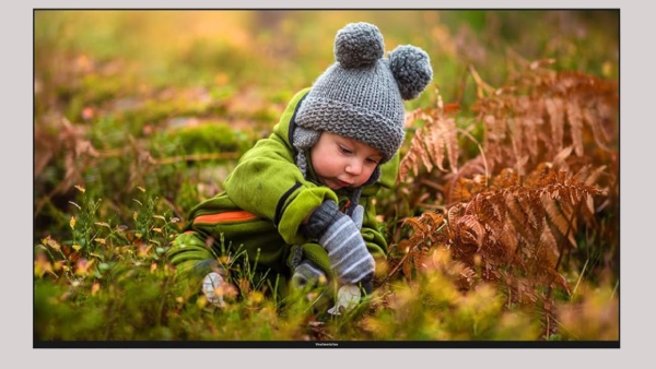 அள்ளி கொடுக்கும் பிளிப்கார்ட்.. நம்ப முடியாத ஆஃபரில் 55 இன்ச் 4K டிவி!