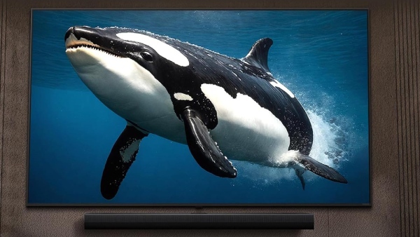 115 இன்ச் டிவியை அறிமுகம் செய்த LG.. எச்டிஆர்.. எந்த மாடல்? 115 இன்ச் டிவியை அறிமுகம் செய்த LG.. எச்டிஆர்.. எந்த மாடல்?