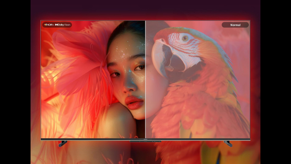 ஆஃபரில் Philips  55 இன்ச் 4கே டிவி.. எந்த மாடல்?