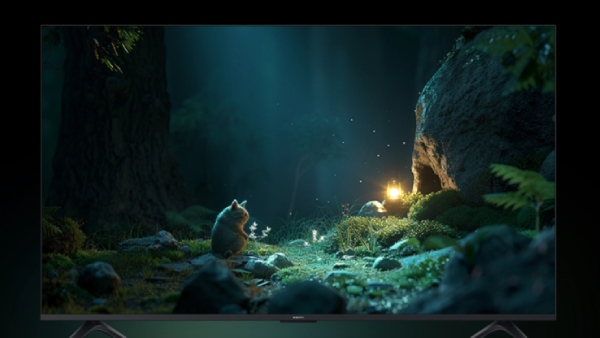 பிளிப்கார்ட் சம்மர் சேல்.. சியோமி 50 இன்ச் டிவிக்கு நம்ப முடியாத ஆஃபர்