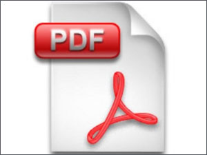 PDF Logo