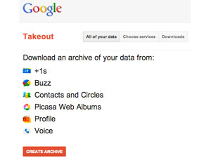 Google Voice Activity