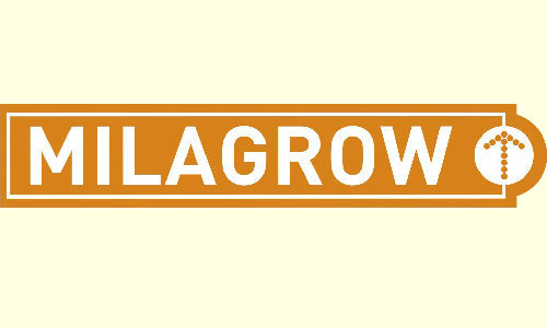 Milagrow to launch 7 inch Windows tablet in June