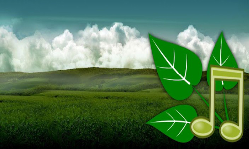 Nature Sounds Relax and Sleep