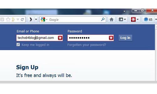 How To Show Password Hidden Behind Asterisk In A Web Browser