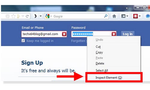 How To Show Password Hidden Behind Asterisk In A Web Browser