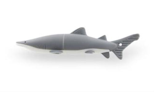 Shark Shape Shark Shape