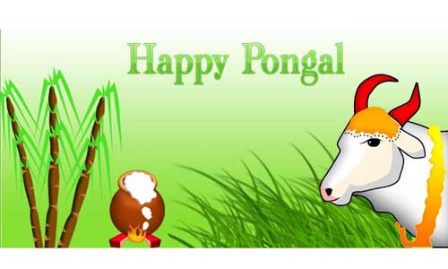 Pongal Greeting Card