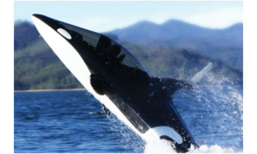 Personal Killer Whale Submarine