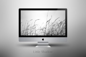 little-shadow-by-zim