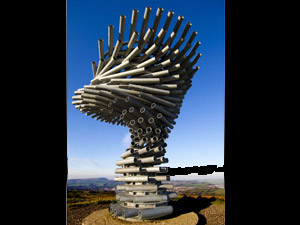 Singing Ringing Tree Singing Ringing Tree