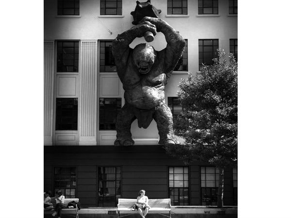 టైమింగ్ అదిరింది (బెస్ట్ ఫోటోలు)