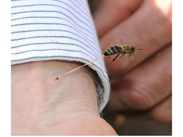 టైమింగ్ అదిరింది (బెస్ట్ ఫోటోలు)