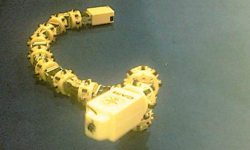 Indian scientists develop ‘snake robots’ for rescue ops