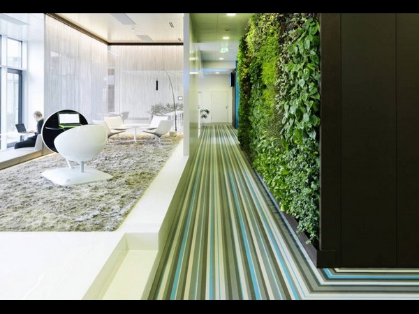 మైక్రోసాఫ్ట్ కొత్త ఆఫీస్.. దిమ్మతిరిగే లుక్!