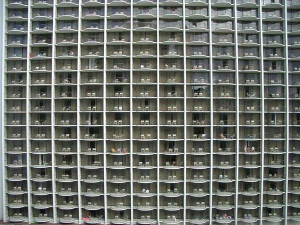 సోనీ వరల్డ్ ఫోటోగ్రఫీ అవార్డ్స్ (బెస్ట్ ఫోటోలు)