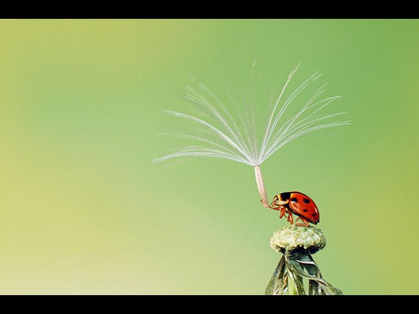 సోనీ వరల్డ్ ఫోటోగ్రఫీ అవార్డ్స్ (బెస్ట్ ఫోటోలు)