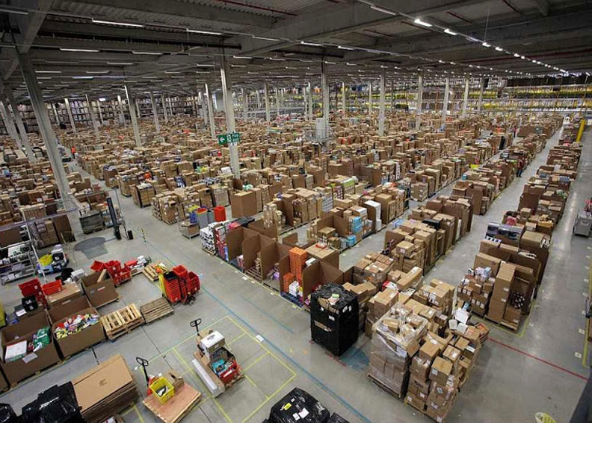 వామ్మో.. అంత పెద్ద గిడ్గంగులా!