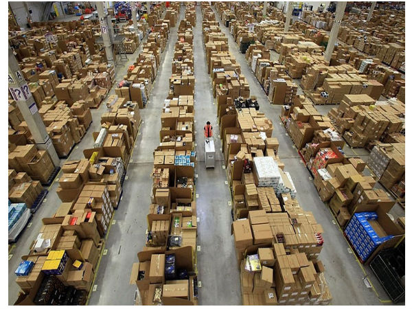 వామ్మో.. అంత పెద్ద గిడ్గంగులా!