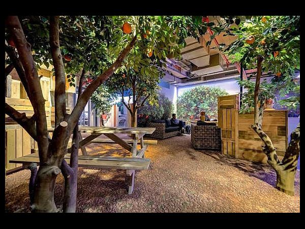 ఇస్రాయెల్‌లోని గూగుల్ కొత్త ఆఫీస్ (ఓ అద్భుతం)