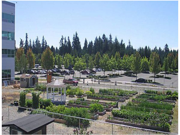 ఇంటెల్ ఆఫీస్ అమెరికా (ఫోటో గ్యాలరీ)