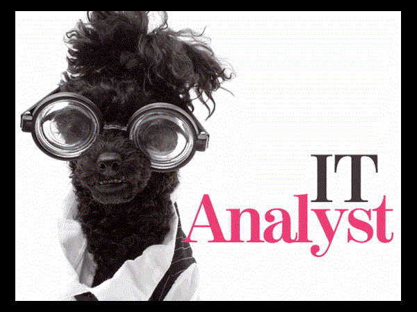 ఐటీ విశ్లేషకుడు (IT Analyst):