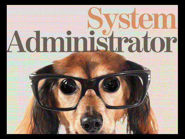 సిస్టమ్స్ అడ్మినిస్ట్రెటర్స్ (Systems Administrators):