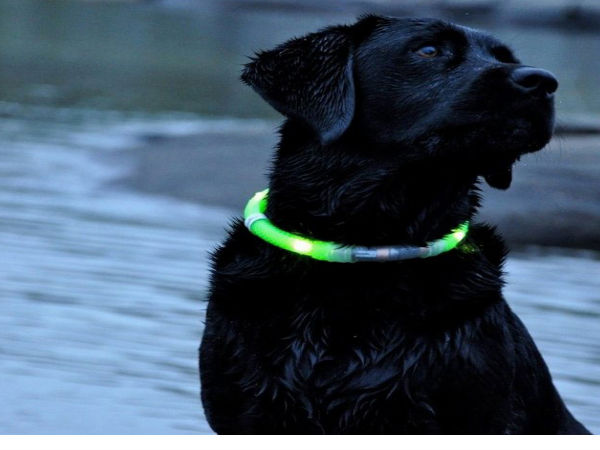 చూసిన తరువాత థ్యాంక్స్ చెబుతారు...