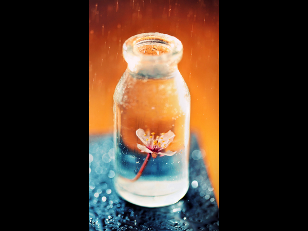 కత్తిలాంటి వాల్ పేపర్లు (మీ స్మార్ట్‌ఫోన్‌...కే)