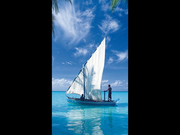 కత్తిలాంటి వాల్ పేపర్లు (మీ స్మార్ట్‌ఫోన్‌...కే)