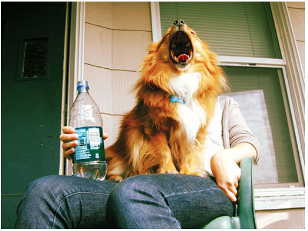 మొదలెట్టండి.. చూస్తూనే ఉంటారు!