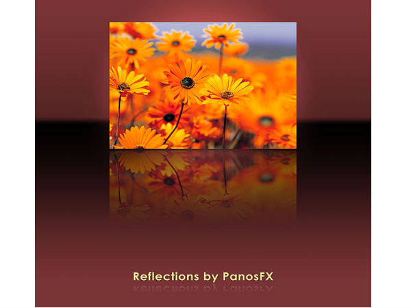 బెస్ట్ ఫోటోగ్రఫీ.. ‘స్టన్నింగ్ ఎఫెక్ట్స్’