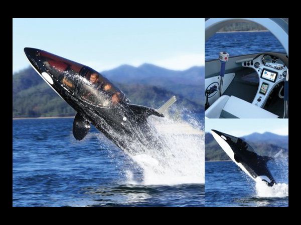 మీరు చూడని ఖరీదైన వస్తువులు