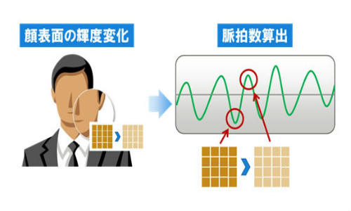 Fujitsu software uses a smartphone's camera to measure your pulse