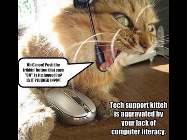  చిలిపి జంతువులు.. ఏం చేస్తున్నాయో చూడండి!