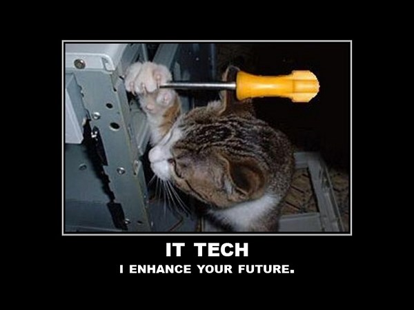  చిలిపి జంతువులు.. ఏం చేస్తున్నాయో చూడండి!