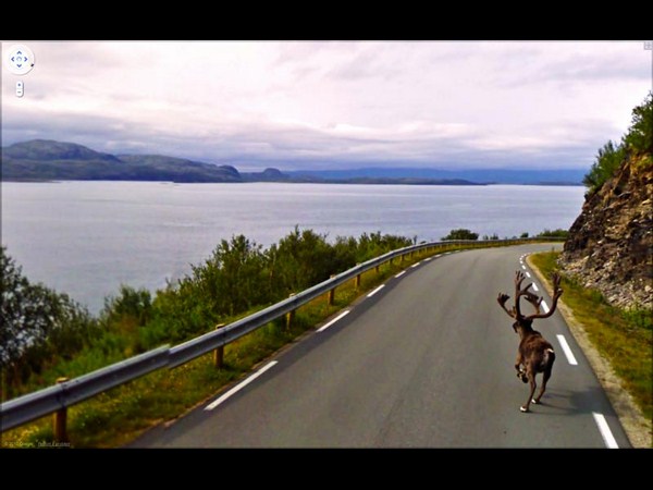  కెమెరాకు ఇలా దొరికిపోయారు..!