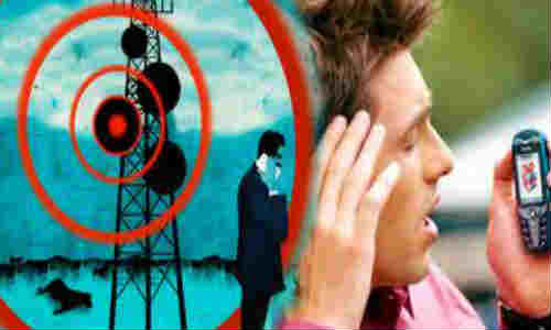 Look for low–radiation emitting phones