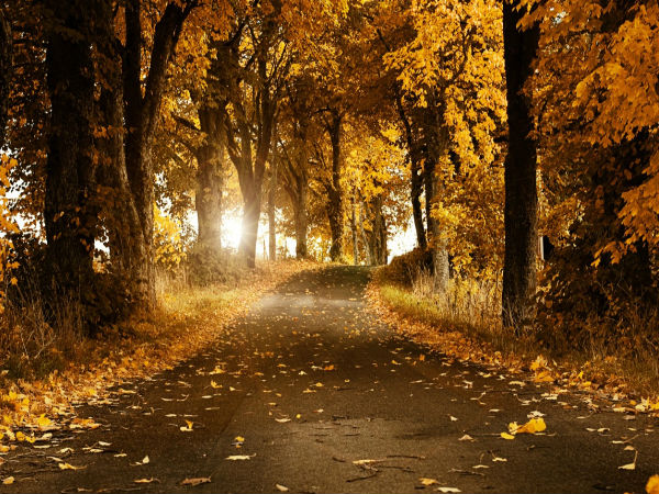 HD Wallpapers